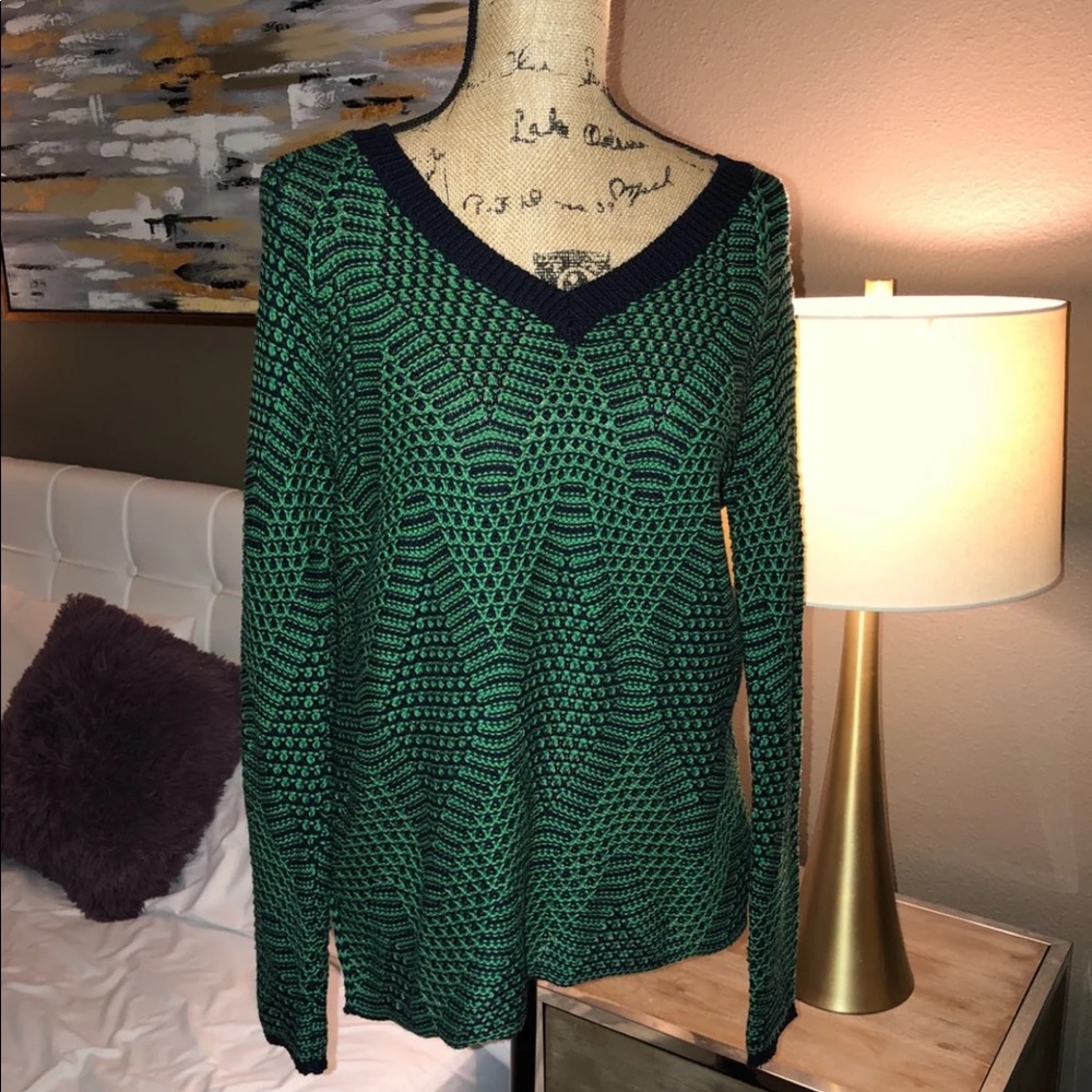 Bcbg sweater